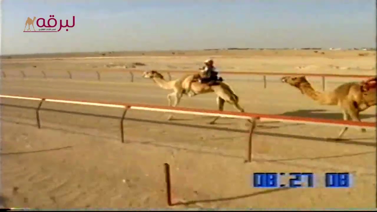 شرايين لـ محمد جمعة النابودة (سباق سمو الأمير 8-4-2003) السيف الفضي حيل مفتوح 17:20:12