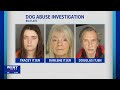 Three Chemung County residents arrested over alleged severe animal abuse
