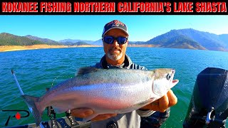 Lake Shasta Kokanee