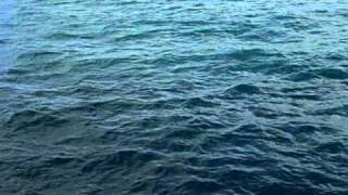 CIMG8693.AVI