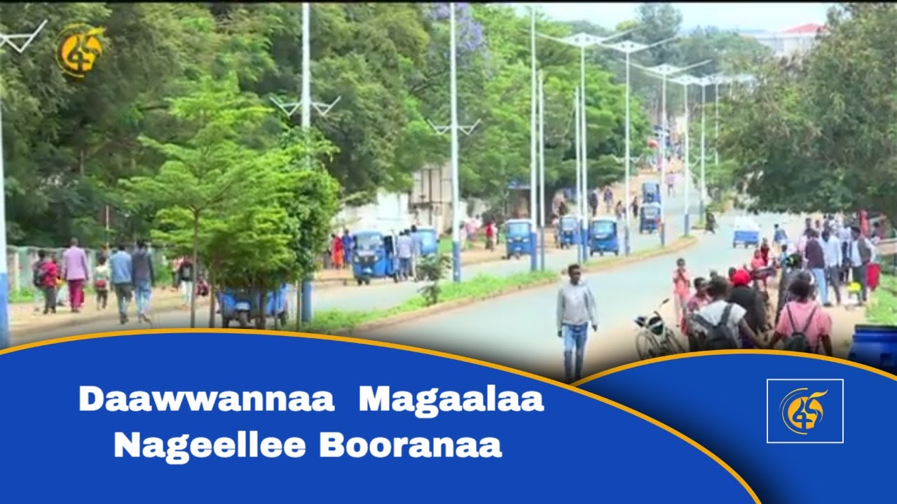 Daawwannaa  Magaalaa  Nageellee Booranaa
