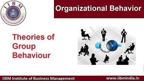 IIBM Institute | Organizational Behavior | Theories of Group Behaviour