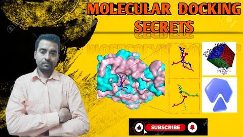 Molecular Docking | The Ultimate Bioinformatics Guide |