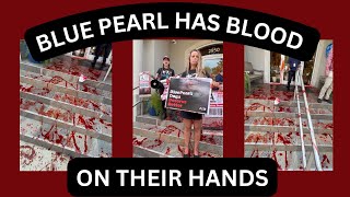 BLUE PEARL VET HAS BLOOD ON THEIR HANDS