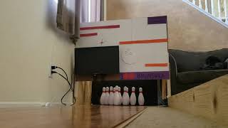 Mini Bowling Rake Test