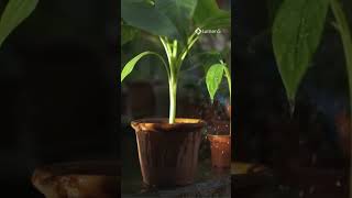 La Vérité Sur Les Graisses Que Personne Ne Tavoue