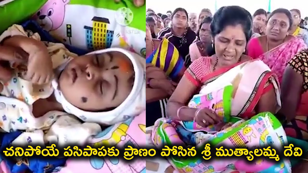 Sri Muthyalamma Devi Miracle nasanna kota#sktvpresents#srimuthyalamma videos#muthyalamma