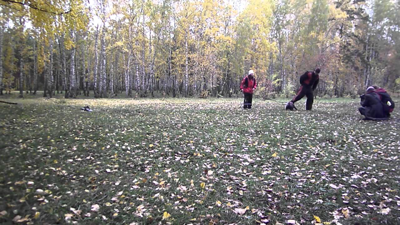 мондио тренинг в ноги