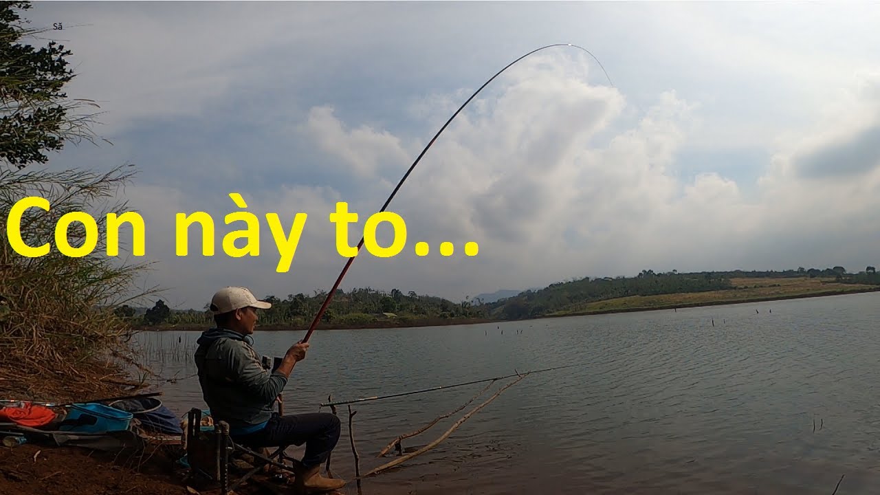 Câu cần tay 6.3m hồ Việt Nguyên đầu mùa khô - Khám phá điểm câu mới và cái kết | 9-2-2026