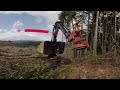 QUADCO Felling Heads in Virtual Reality