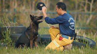 These furry four-legged friends could save your life!【The Greatest Buddy - A-Lan to the Rescue】
