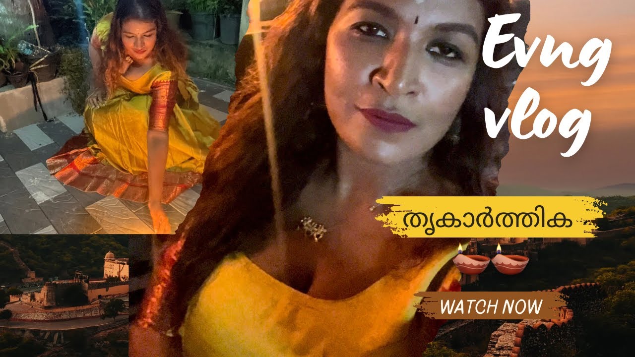 എല്ലാത്തിനും തനിച്ചായി പോയ ഒരു ദിവസം🪔 ||ചില ദിവസങ്ങൾ അങ്ങനെയാണ് 😌🤗 #remyadin #thrikarthika 