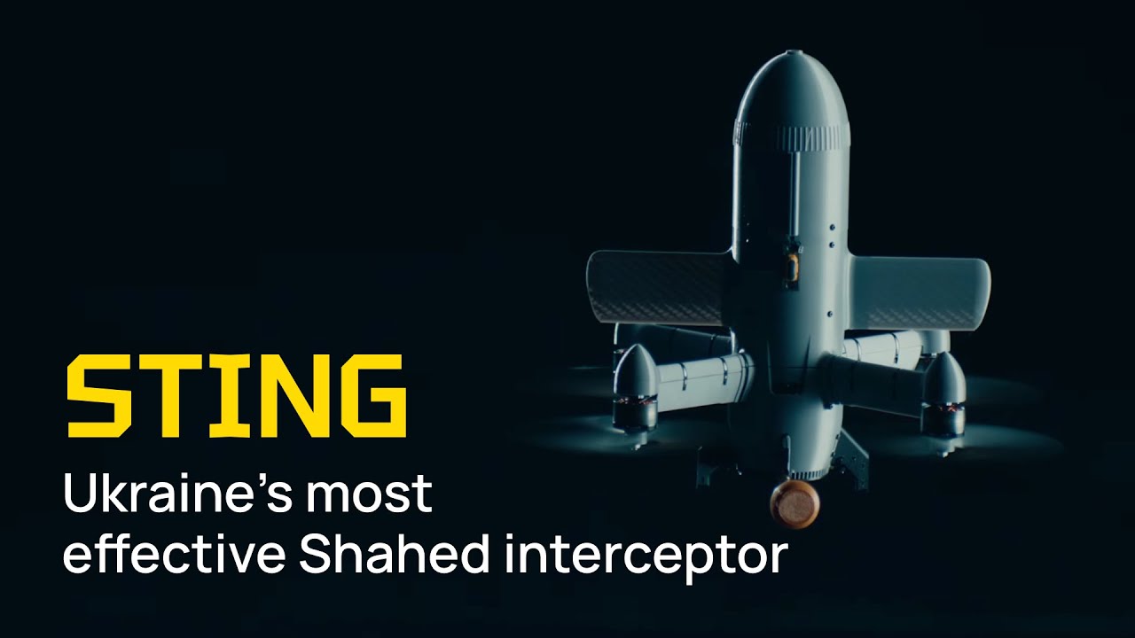 The Wild Hornets have created an effective Shahed interceptor — STING ...