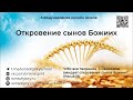 Конференция 2021 День 5 сл.1 Денис Орловский