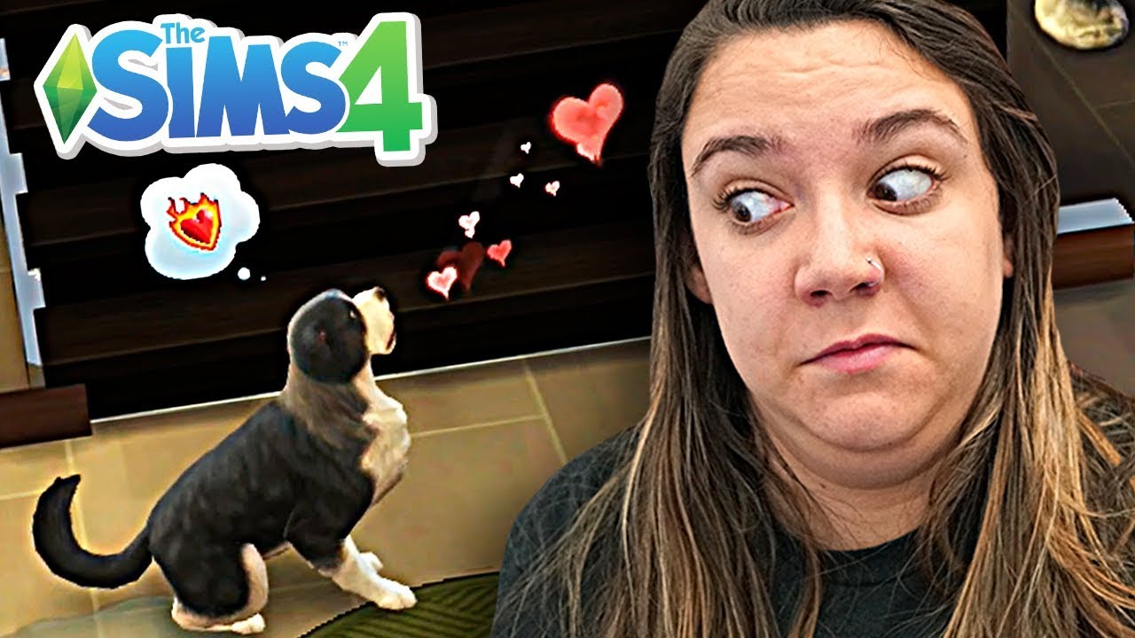 Como usar os truques de relacionamento do The Sims 4 (amizade, romance,  animais de estimação) » Notícias de filmes