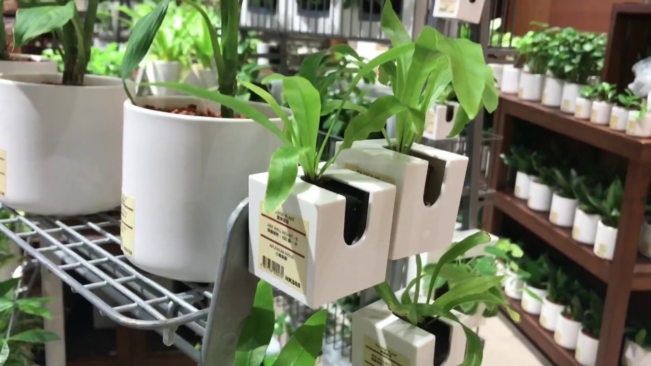 Penmesh Muji Store Tour - Hong Kong 2018