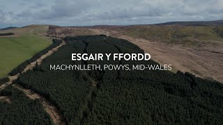 Goldcrest Land & Forestry Group | Esgair Y Ffordd