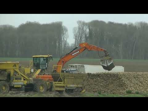 Campagne de Betteraves en Picardie / Janvier 2019 / Ropa / Doosan