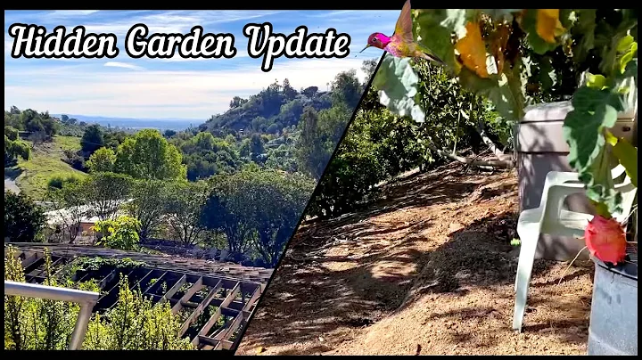 Secret Hidden Garden to Grow Food in Update, Stair...