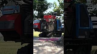 Pejuang Keluarga cover youtubeshorts