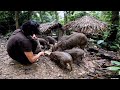 Wild Boars, Make Me Not Want To Leave, Survival Instinct, Wilderness Alone, survival, Episode 157