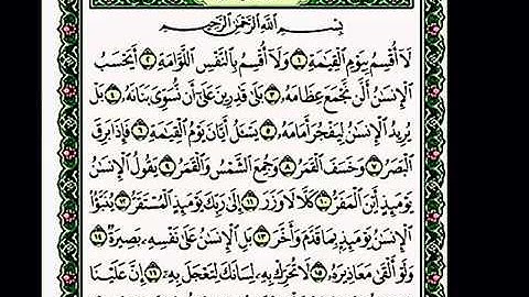 سورة القيامة القارئ علي أحمد المهري