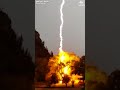 Lightning bolt strikes tree in Colorado