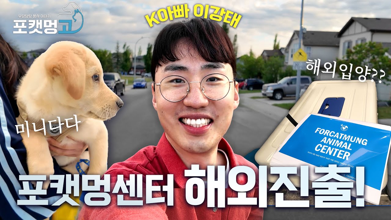 결국 해외입양까지… 캐나다로 간 이강태의 눈물 😥