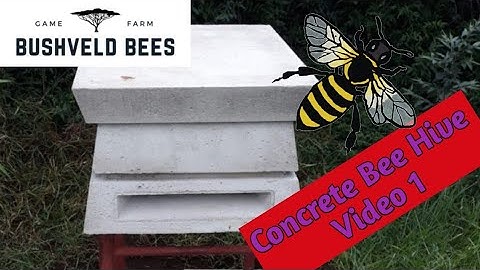 Concrete Hives video 1 of 2: Moving a bee swarm into the concrete hive. 🐝🐝🐝 subscribe to see video 2