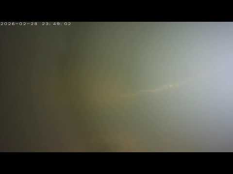 【碧潭堰魚道】出口影像3（左）Fishway Live stream