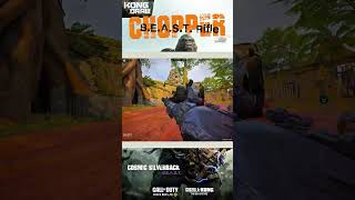 Chopper - B.E.A.S.T. Rifle (codm)