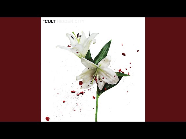 The Cult - Sound and Fury