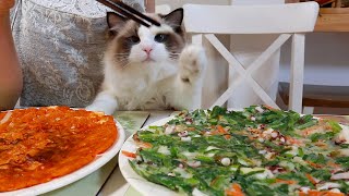 When it’s raining, eat Korean pancakes and play with cats!