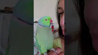 Kiwi wants to sing 🎶