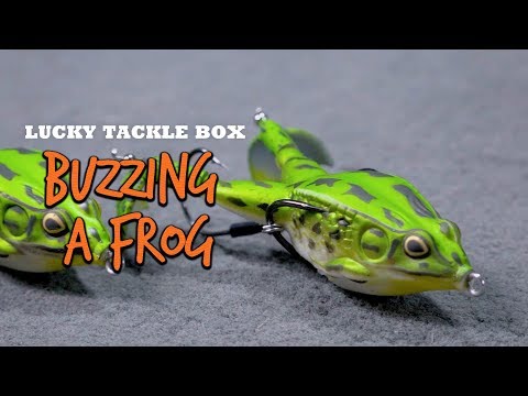 Buzzing a Frog for Big Bass Blowups - YouTube Buzzing a Frog for Big Bass Blowups - YouTube
