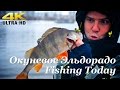 Окунёвое эльдорадо на Москве Реке - Fishing Today