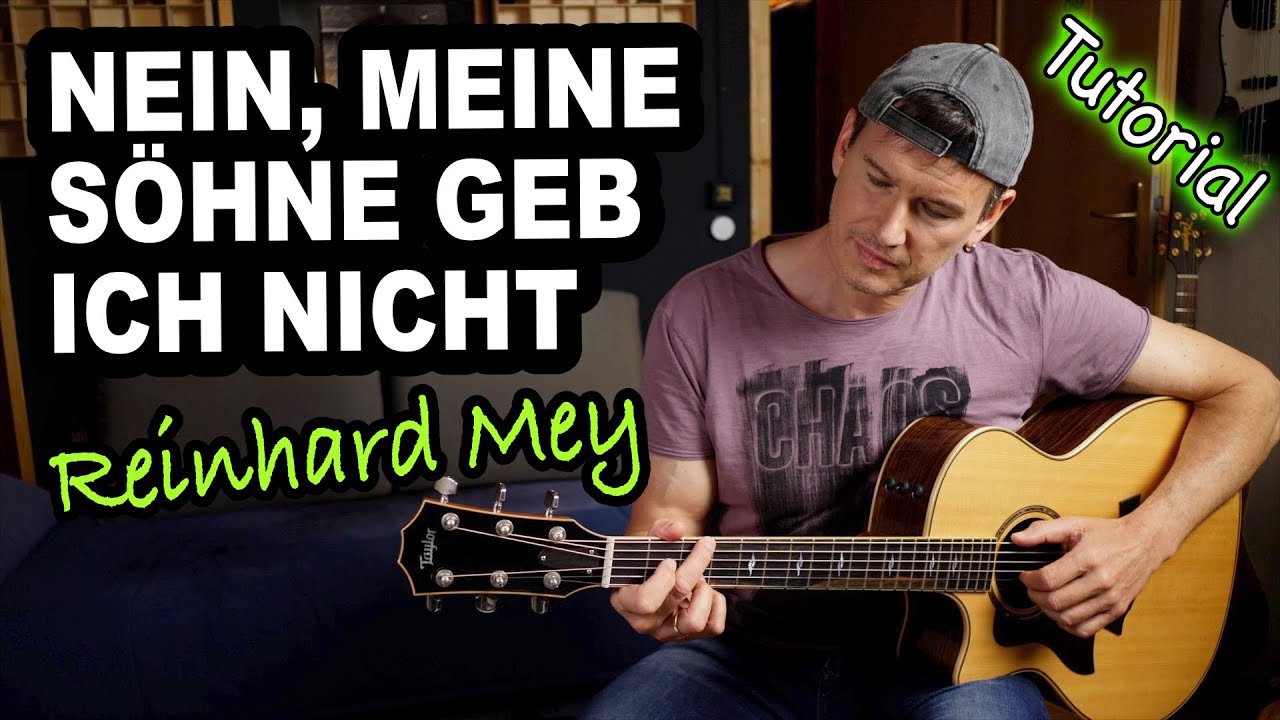 Reinhard Mey Meine Söhne Geb Ich Nicht Text www.youtube.com