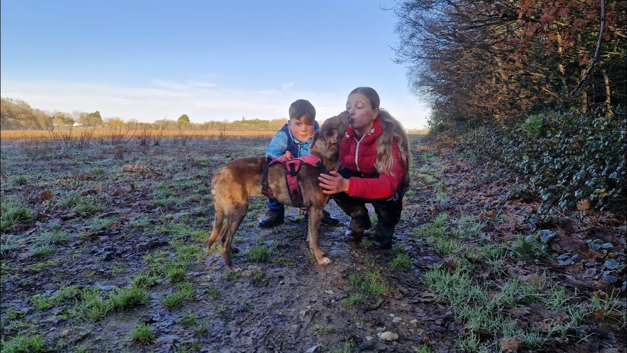 Join us on our pretty morning dog walk!! 🐕🐾🩵