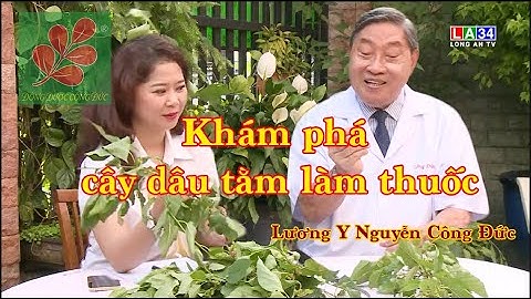 KHÁM PHÁ CÂY DÂU TẰM LÀM THUỐC - Lương Y Nguyễn Công Đức