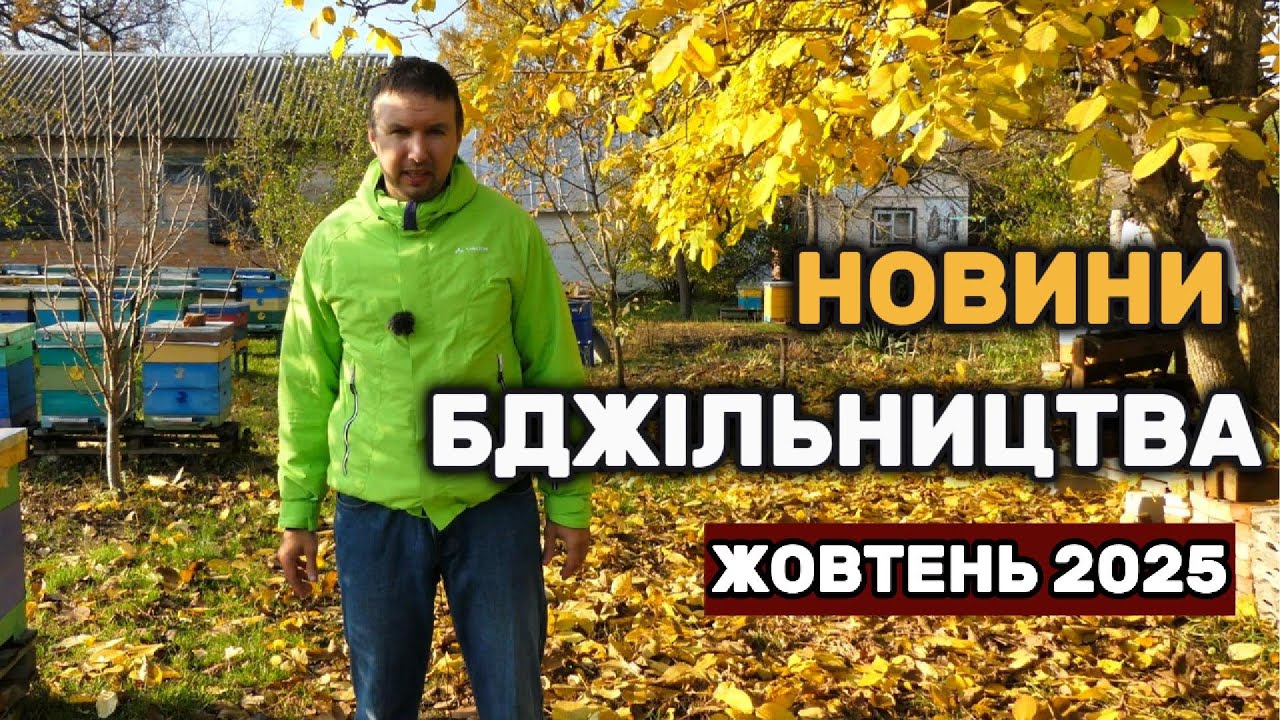 Новини бджільництва жовтень 2025