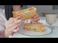 【離婚後】警察へ。閲覧制限の申請と仕事を休んだ日の過ごし方🍞ホットサンドにきんぴらの春巻き｜一人暮らしの女の日常vlog｜アラサー｜猫