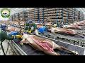 How Reindeer Skin and Antlers Become Million-Dollar Luxury Products | Inside a Massive Factory