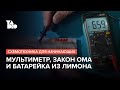 Как пользоваться мультиметром и собрать батарейку из лимона | Схемотехника для начинающих №2