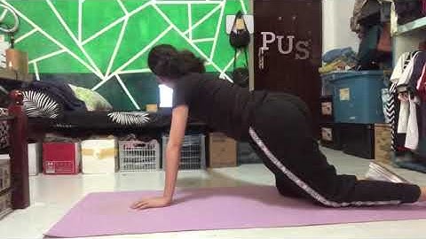 Curl ups, Push up and Sit and Reach