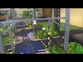 鉄道模型　踏切　連続踏切　(O-gauge Railroad crossing A row of railroad crossings)