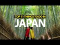 Top 11 things to do in japan in 2024 tokyo kyoto  mt fuji
