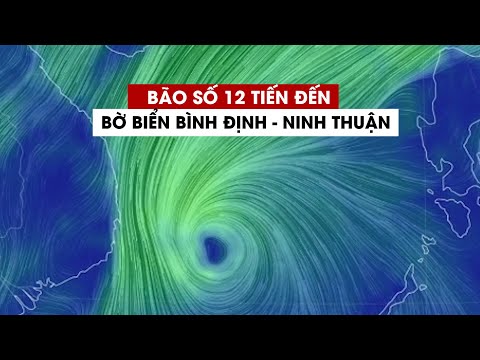 Video Bão số 12 gió giật cấp 10 tiến gần bờ biển Bình Định -... - youtube