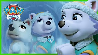 Everest Gets Stuck in a Cave! - PAW Patrol - Cartoons for Kids