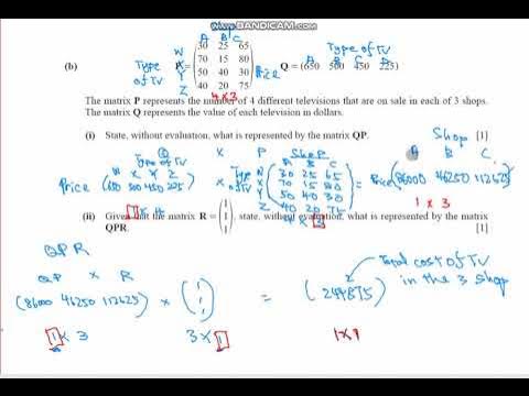 xin and Ling Matrix B part 1 - YouTube