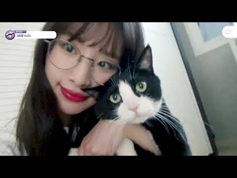 [우주소녀 설아] 본인을 사람이라고 생각하는 김샤키